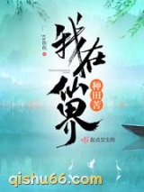 我在仙界种田苦小说