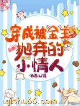 穿成被金主抛弃的小情人小说