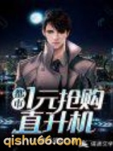 都市：1元抢购直升机小说