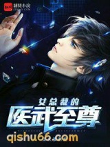 女总裁的医武至尊小说