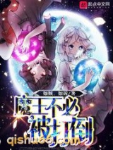 魔王不必被打倒小说