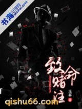 致命赌注小说