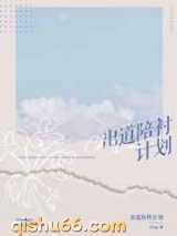 出道陪衬计划小说