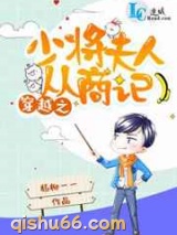 穿越之少将夫人从商记小说