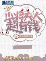 少将夫人超有钱小说