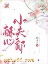 酥心小夫郎小说
