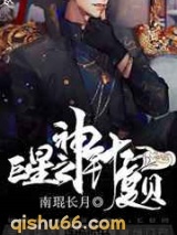 巨星之神针夏贝小说