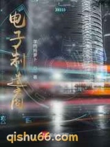 电子制造商小说
