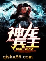 神龙兵王小说