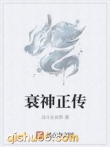 衰神正传小说