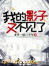 我的影子又不见了小说