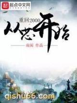 重回2000从芯开始小说