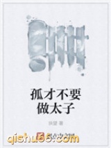 孤才不要做太子小说
