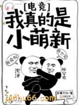 我真的是小萌新小说