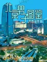 北京男子图鉴小说