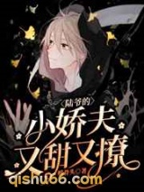 陆爷的小娇夫又甜又撩小说