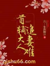 首辅大人，你老婆跑啦小说