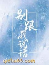 别跟我说话小说