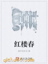 红楼春小说
