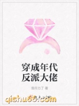 穿成年代反派大佬小说