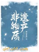 非物质遗产小说