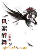 风絮醉舞小说