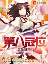 第八冠位小说