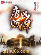 唐贼凶悍小说