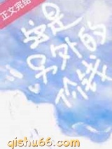这是另外的价钱小说