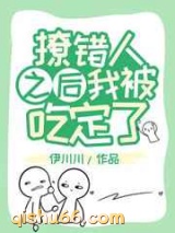撩错人之后我被吃定了小说