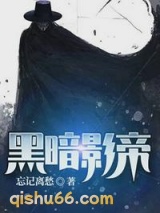 黑暗影帝小说