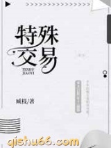 特殊交易小说
