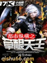 都市纵横之草根天王小说