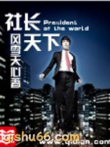 社长天下小说