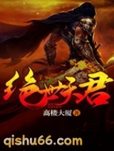 绝世天君小说
