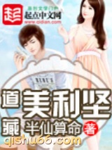 道藏美利坚小说