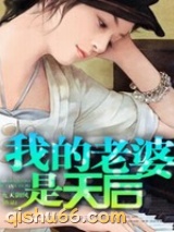 我的老婆是天后小说