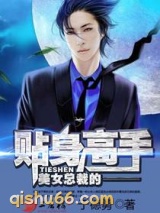 美女总裁的贴身高手小说