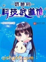 奶爸的科技武道馆小说