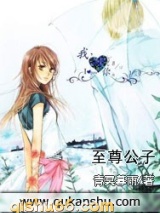 至尊公子小说