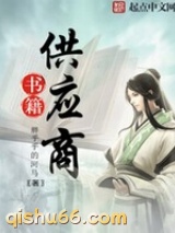 书籍供应商小说