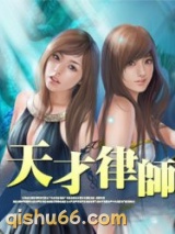 天才律师小说