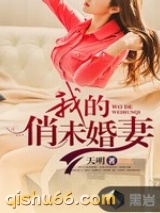 我的俏未婚妻小说
