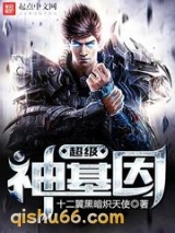 超级神基因小说
