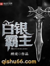 白银霸主小说