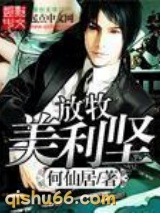 放牧美利坚小说