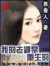 我的老婆是重生的小说