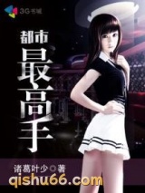 都市最高手小说
