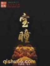 宝瞳小说