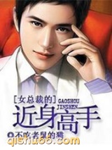 女总裁的近身高手小说